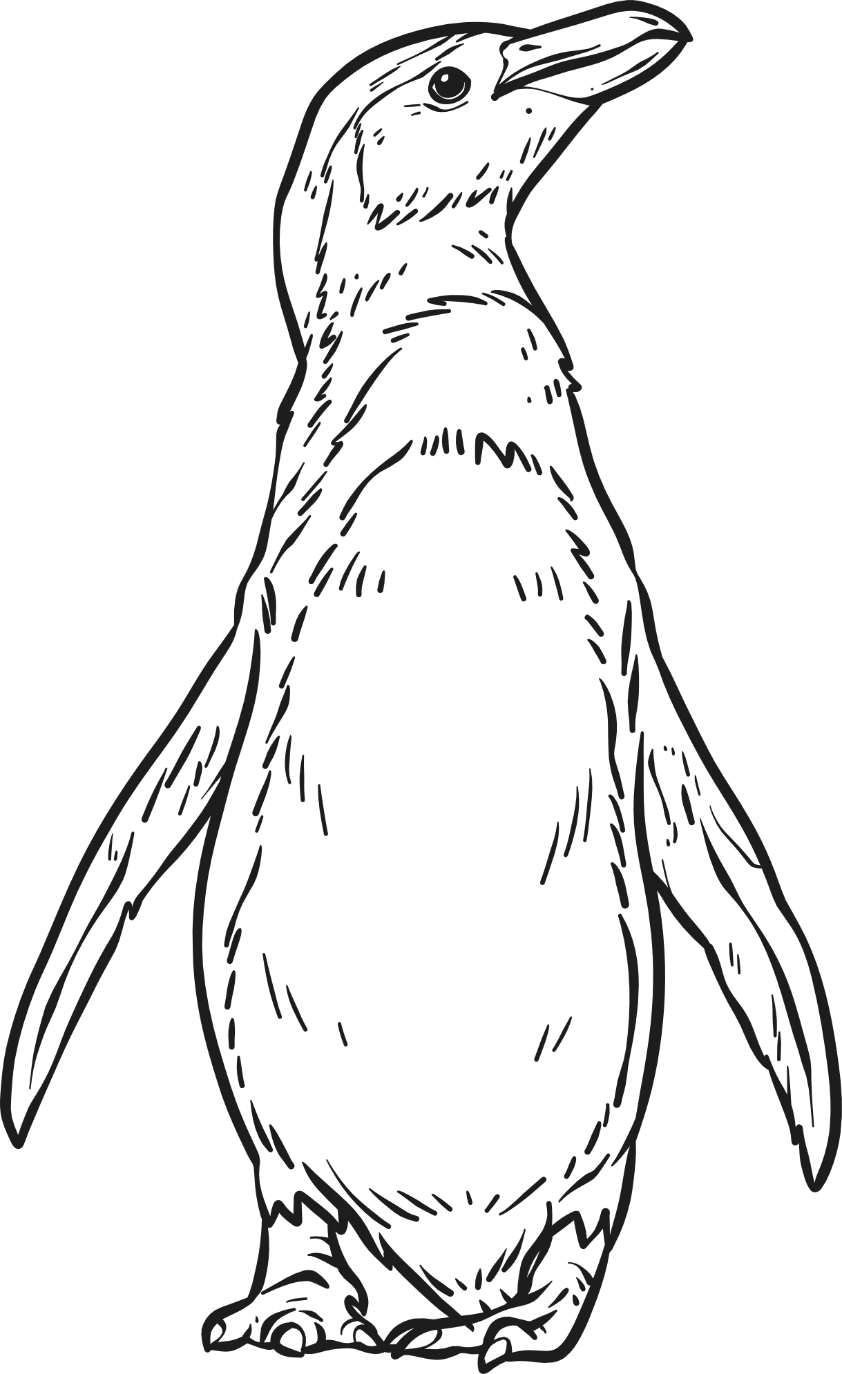 ШтампОнлайн.рф logo